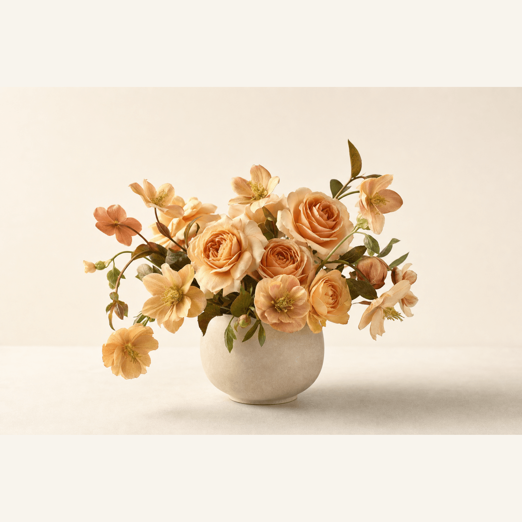 Peach garden roses and hellebores arranged in a round white ceramic vase