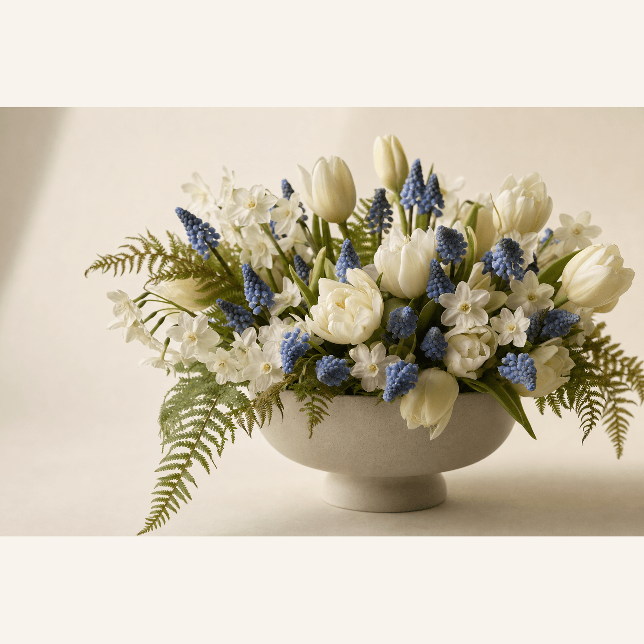 White tulips, blue muscari, and white narcissi with fern in a cream footed ceramic bowl