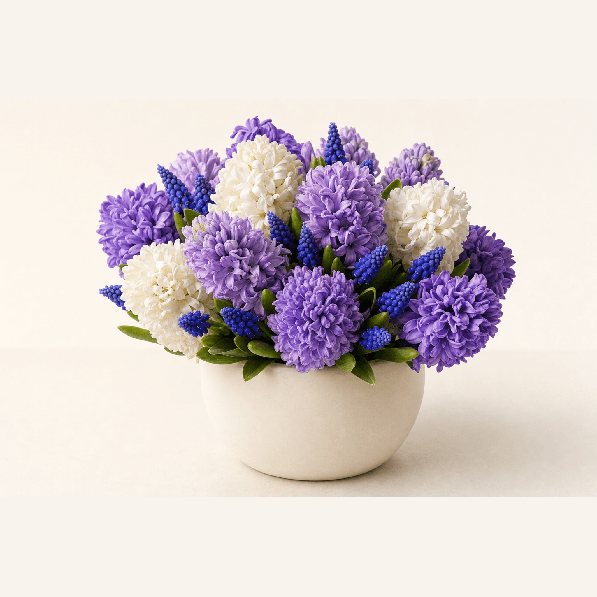 Purple and white hyacinths with blue muscari in a round white ceramic bowl