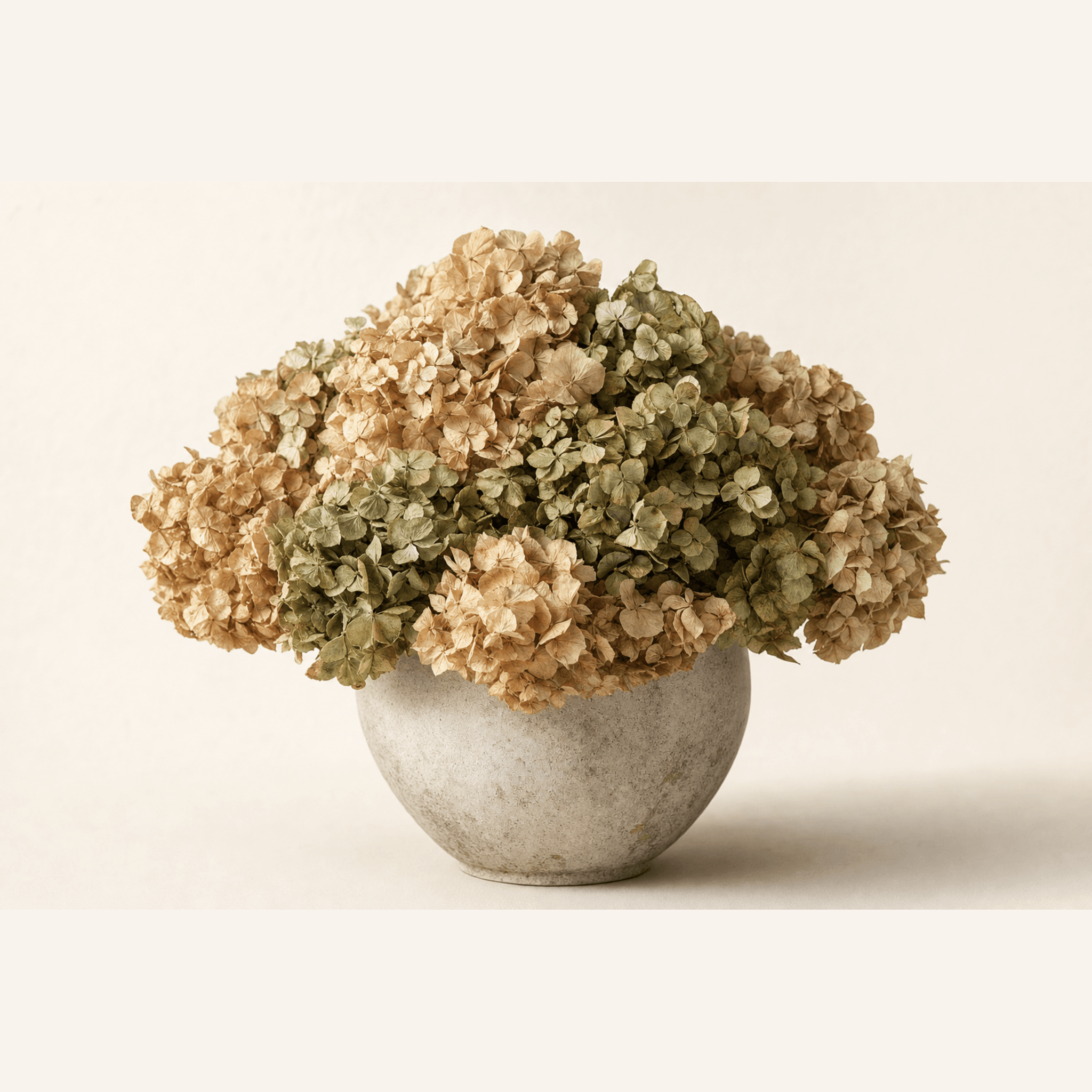 Dried tan and sage green hydrangeas arranged in a round stone-effect ceramic bowl