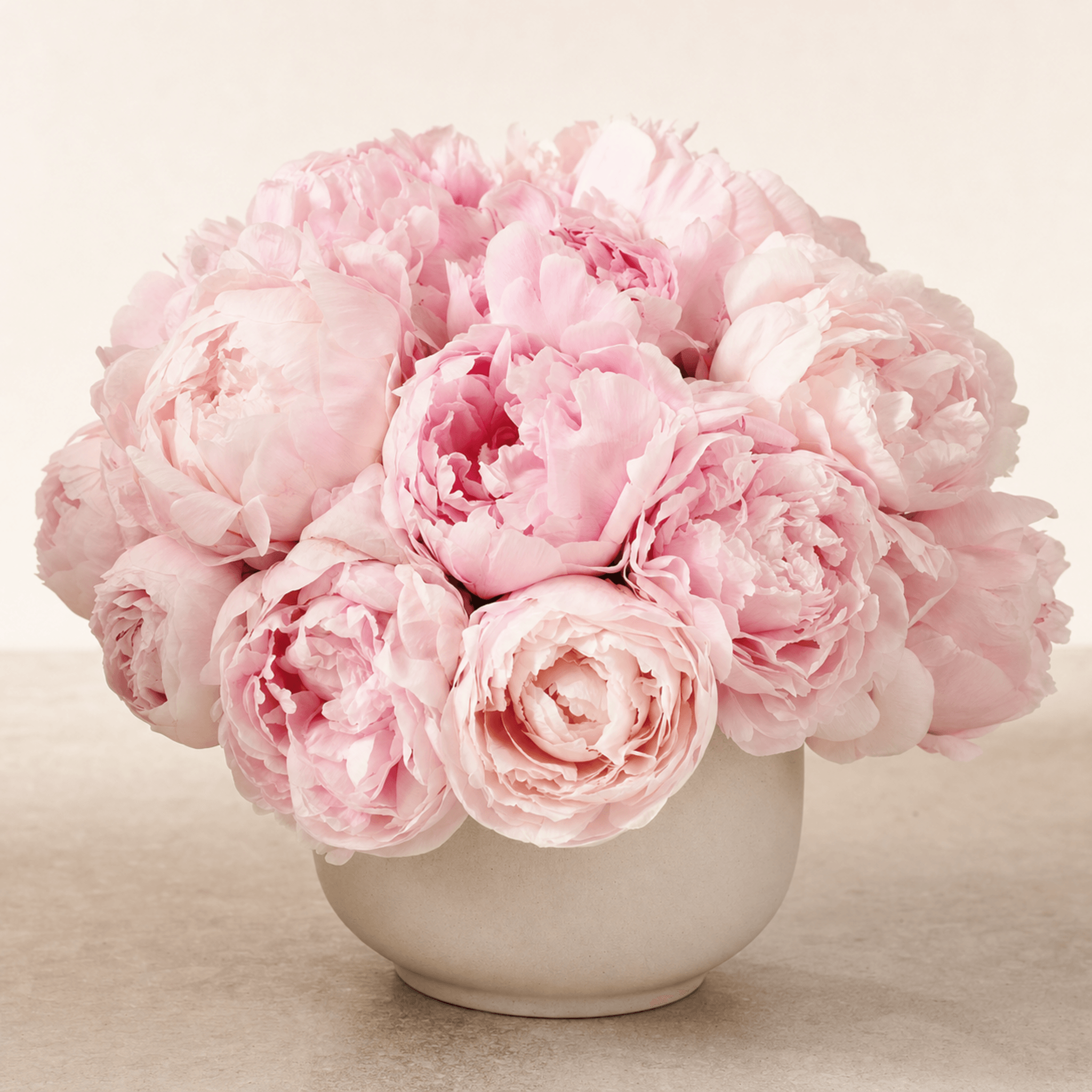 Blush pink peonies arranged in a round white ceramic bowl vase